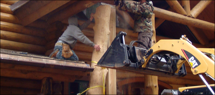 Log Home Log Replacement  Brown County, Ohio